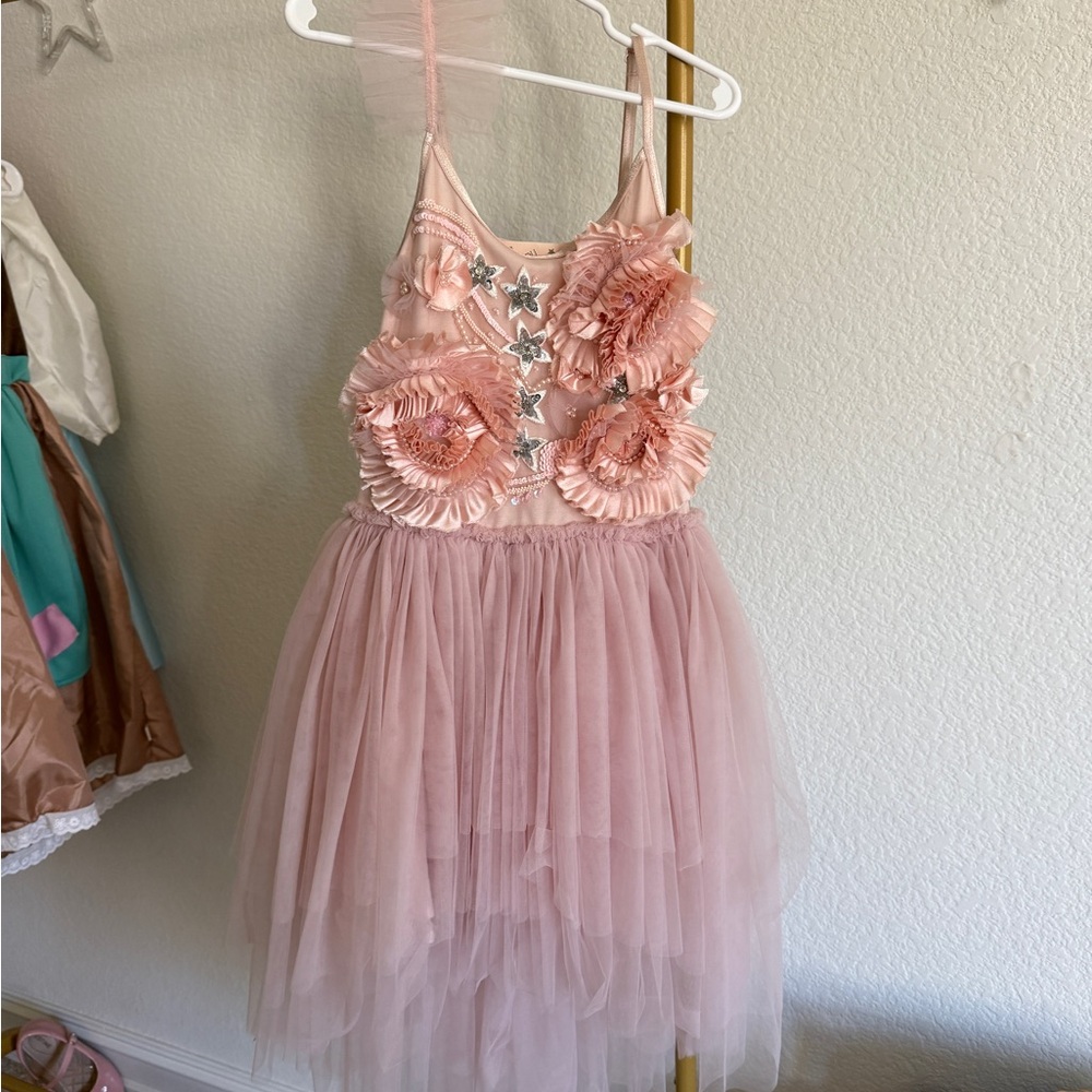 Tutu Du Monde Blush Dress with Silver Accents